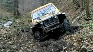 variferi-taf2.mp4