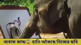 অলৌকিক ঘটনা 😱 হাতি আঁকছে নিজের ছবি