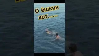 Оооо здравствуйте. #shorts