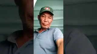 Баткен чек арасы, өкмөт, депутаттар жөнүндө ачуу чындыкты айтты.