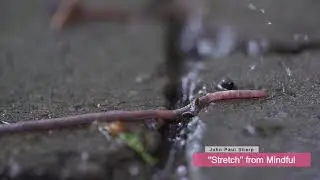 02 Stretch - Mindful - John Paul Sharp (feat. Chris Harnois)