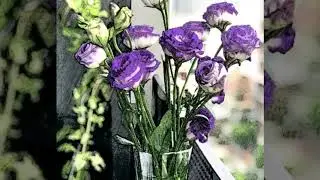 9 September 2020