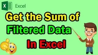 How To Get the Sum of Filtered Data in Ms Excel (With SUBTOTAL Function) || MS Excel Training