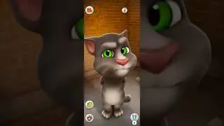 Talking Tom Cat Part 13761 