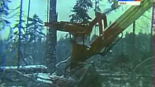 С днем рождения. Ивдель 1976 г
