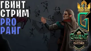 Gwent | Завершение Бо9 и возвращение в ладдер — Гвинт 12.1