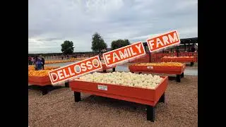 Halloween at Dell'osso Family Farm