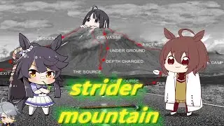 Strider Mountain COOP - Part 1