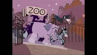 Jenny released the animals in the zoo