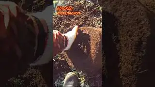 Заработок в деревне. Коп металла