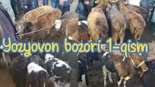 1-qism. Yosh 50 %novoslar 50%hunajinlar. Yozyovon bozori narhlari.