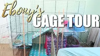 Ebony's Cage Tour! ⭐