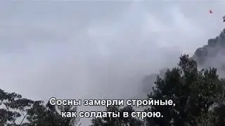 Почему же ты замужем (Subtitles)