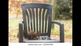 Top Ten Chairs Full HD 1080p 🔟