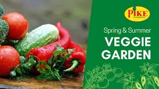 How to Grow a Spring & Summer Vegetable Garden