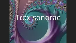 Trox sonorae
