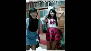 Top Live Bingo Live Stream