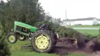 Revenge of the Christmas Tree