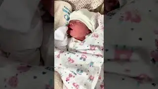 My BEE Daily #shortsvideo #newbornbaby #mybeedaily #shortsviral #beedaily
