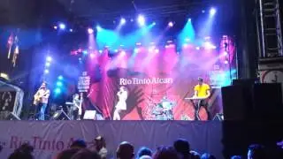 Ginkgoa at Montreal(4)
