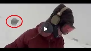 Любительница селфи и сноуборда не заметила медведя у себя за спиной
