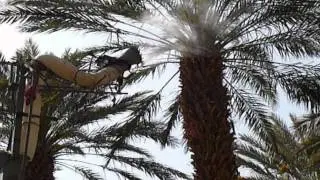 המכון להנדסה חקלאית