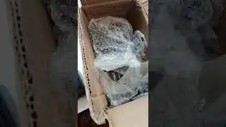 #Долгожданная