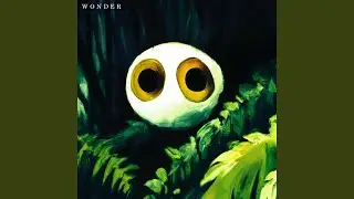Wonder