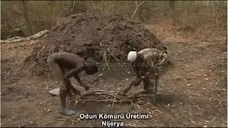 Afrika'da Odun Kömürü Nasıl Yapılır - Nijerya