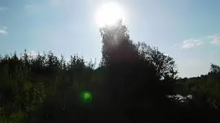 Старица реки Кондома