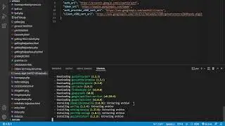 How to Install the Latest Google Sheet API Using VS Code