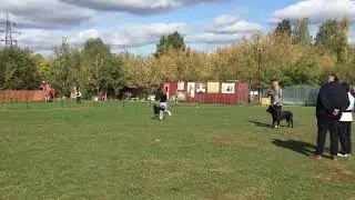 Моно ВЕО 