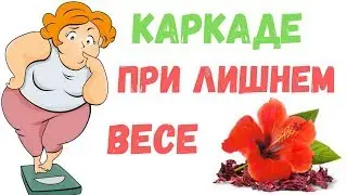 Суданская роза или Гибискус Каркаде: лечебные свойства, цена применение и противопоказания