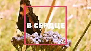 Витебщина в сердце моем