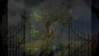 Who Wants to Live Forever - David Garrett