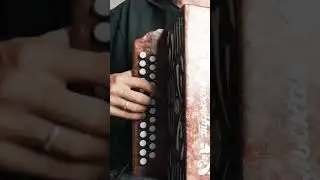 НА ГАРМОНИ #кариммуратов #баянпобратски #гармонь