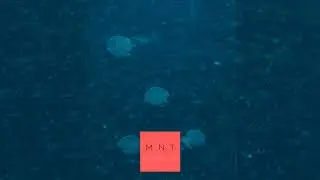 Gunna X Young thug Type Beat - "Drip is an ocean" (Prod MNT X Mighty)