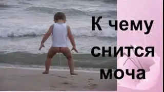 К чему снится моча