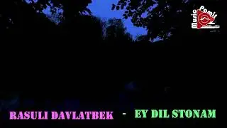 STUDIO_PAMIR_MUSIC - РАСУЛИ ДАВЛАТБЕК - АЙ ДИЛСИТОНАМ - 2009