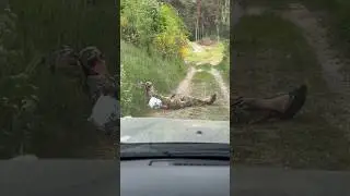 Уставший десант #shorts
