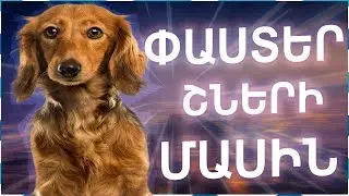 30 ՀԵՏԱՔՐՔԻՐ ՓԱՍՏ ՇՆԵՐԻ ՄԱՍԻՆ/Paster Shneri masin