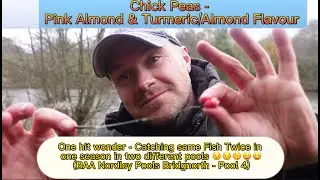 Carp Fishing - Almond / Turmeric & Almond Flavoured Chick Peas (BAA - Nordley Pools No.4) 💨😀😀🤫😯😯