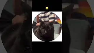 pishakni karashini 🤣🤣