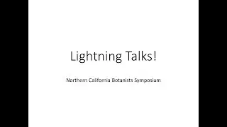 LightningTalks
