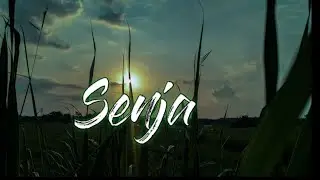 senja || melihat matahari tenggelam di persawahan