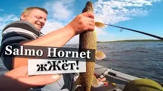 ✅ Рыбалка на озере Ладога. 2017.  Ловля щуки и окуня.