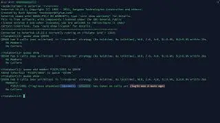 Utilizing Queue and Agent Commands in VitalPBX