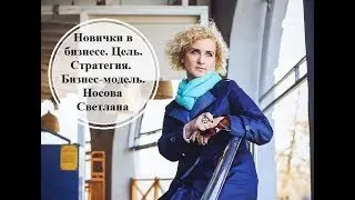 Новички в бизнесе  Цель  Стратегия  Бизнес модель  Светлана Носова