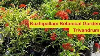 Kuzhipallam Botanical Garden/കുഴിപള്ളം ബൊട്ടാണിക്കൽ ഗാര്‍ഡന്‍