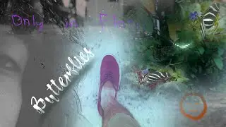 Funny Butterflies - Stefano's Short film